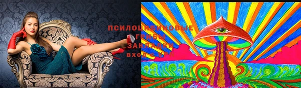 спайс Балабаново