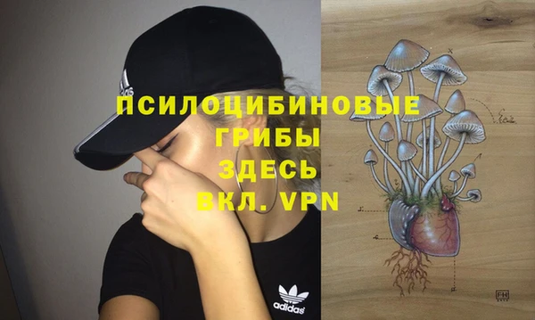spice Баксан