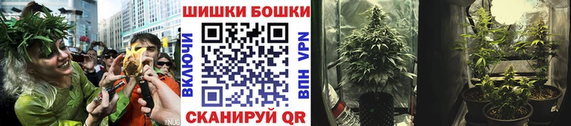 магазин    Краснокамск  Конопля Amnesia 